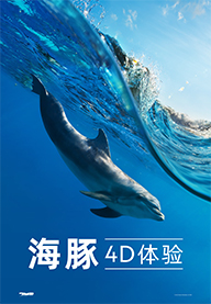 海豚4D體(tǐ)驗